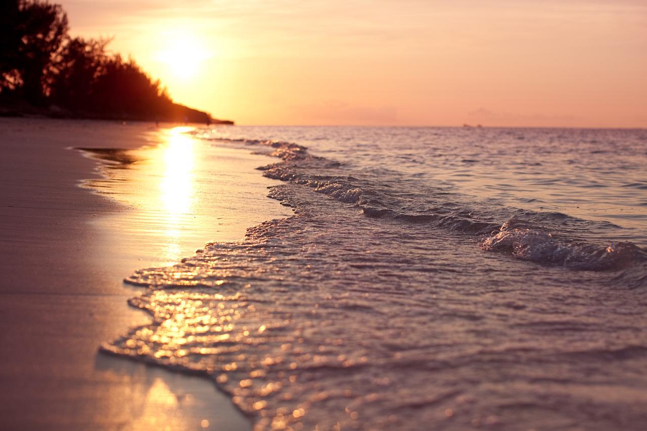 Hollywood Beach Suites Turks And Caicos Whitby Esterno foto